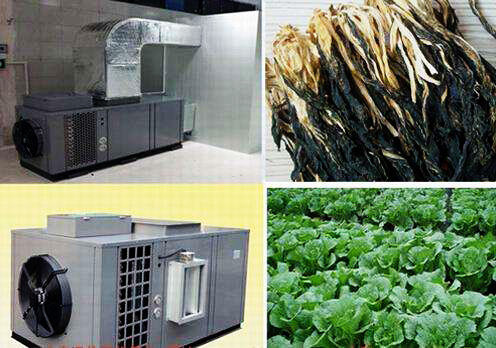 什么是食品烘干房？